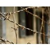 В красноярской колонии организовали выпуск пластиковых окон