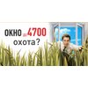 Охота на окна